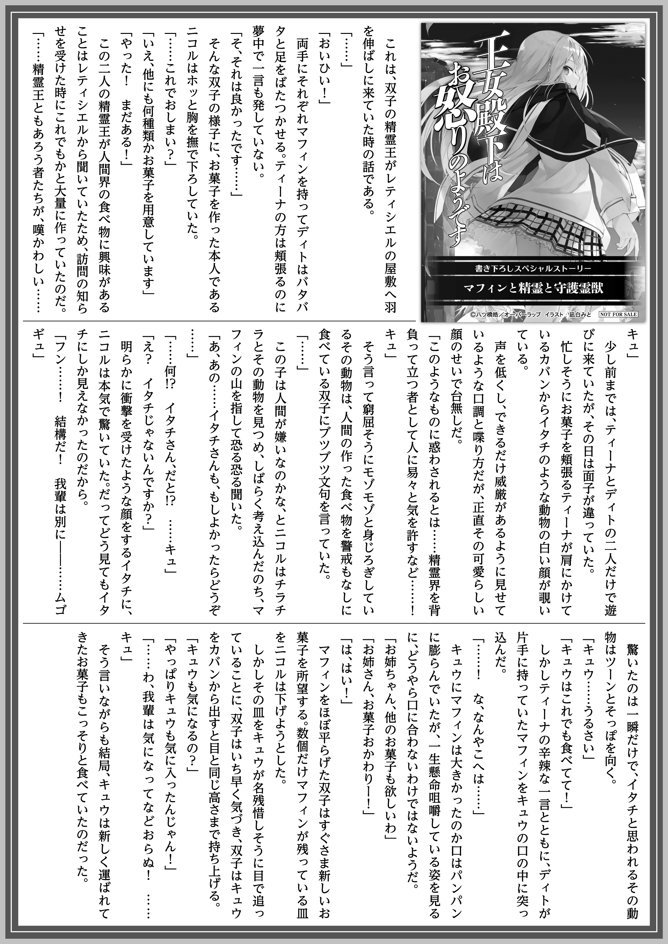 【文庫】「王女殿下はお怒りのようです 3」B5SSペーパー